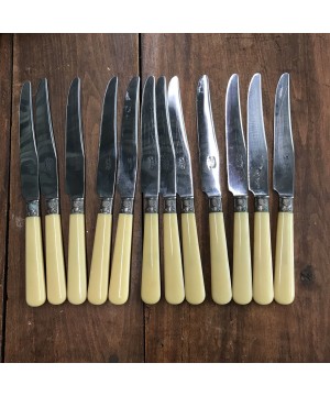 Ménagère à couteaux